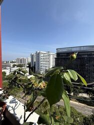 Blk 119 Bukit Merah View (Bukit Merah), HDB 3 Rooms #610221951